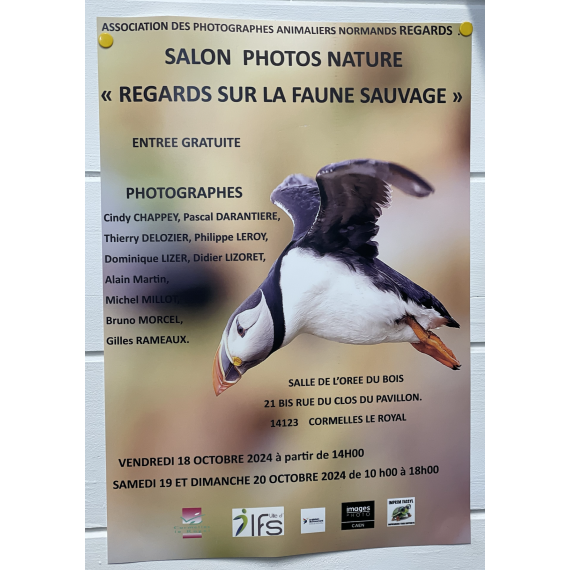 Affiche format A3 papier satin 135g